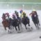 【競馬】現役最強の怪物グレイトパール、帰厩