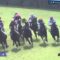 【競馬】ロイカバード、種牡馬引退