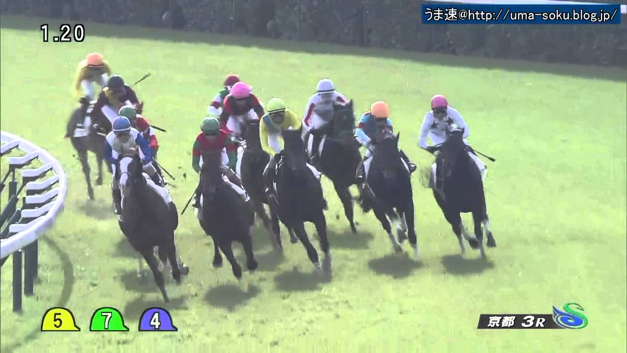 【競馬】ロイカバード、種牡馬引退 【競馬】ロイカバード、種牡馬引退