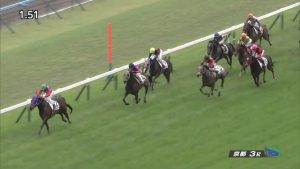【競馬】ナニアヒアヒ弱すぎワロタwwwwwwwww