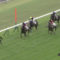 【競馬】ナニアヒアヒ弱すぎワロタwwwwwwwww