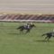 【競馬/オークス】ソウルスターリング強すぎワロタwwwwwww
