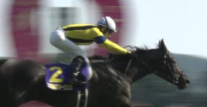【競馬/毎日王冠】ここでソウル一着固定できない奴ってセンスないよな