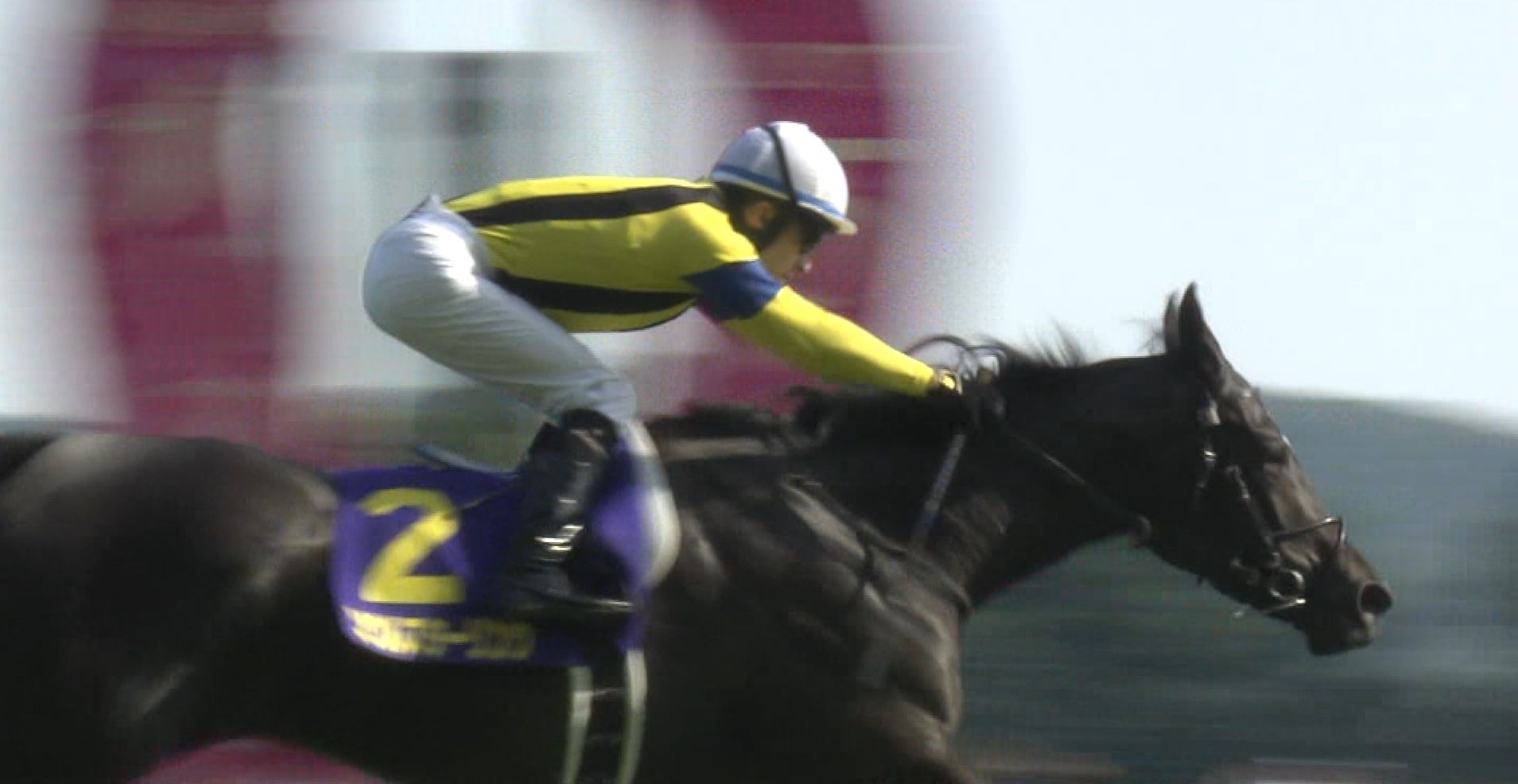 【競馬】ソウルスターリング、古馬王道ローテに挑戦へ