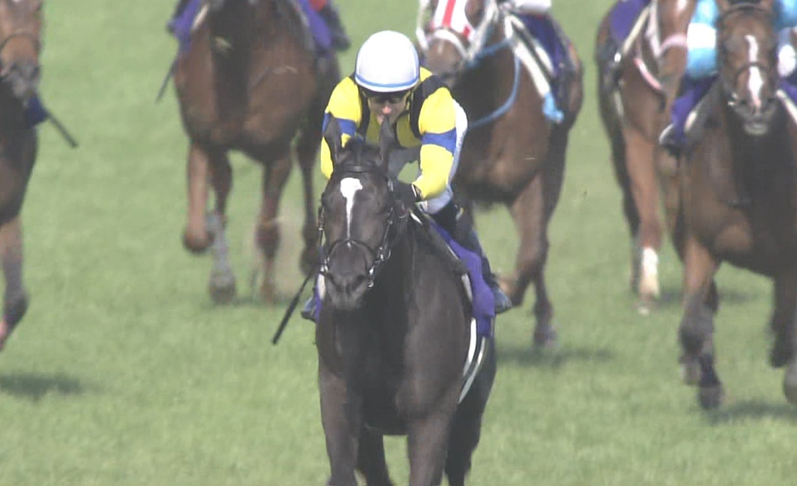 【競馬】ソウルスターリング　毎日王冠　→　天皇賞（秋）