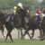 【競馬/ヴィクトリアM】ソウルスターリング単勝10倍以上付きそうだぞ