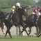 【競馬/エプソムC】ソウルスターリングは出走取消、左前肢跛行のため