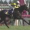 【競馬】ソウルスターリング、鞍上武豊でヴィクトリアマイルへ
