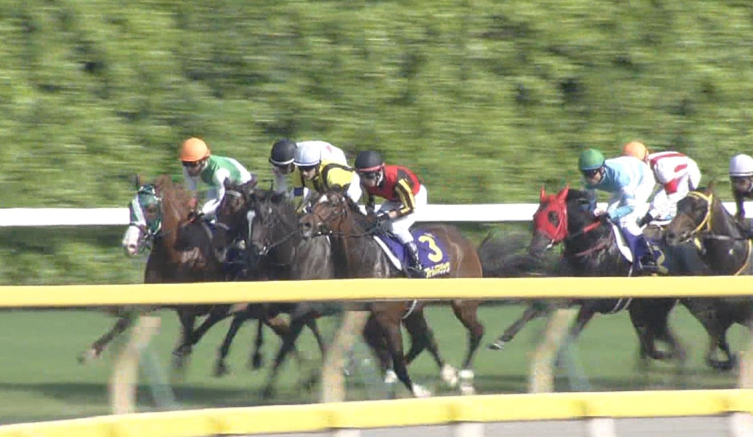 【競馬/オークス】戸崎圭太さんフローレスマジックで逃げて沈む