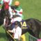 【競馬/阪神牝馬S】リスグラシューの不安要素が見当たらないんだが