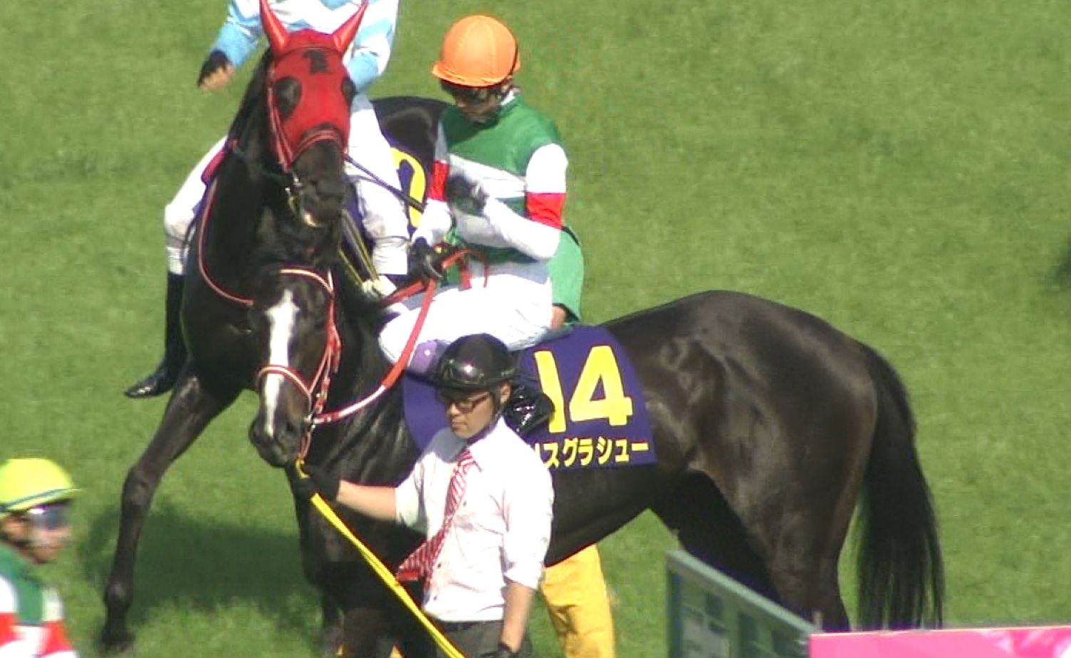 【競馬/オークス】5着リスグラシュー武豊「狭いところで両サイドからぶつけられてきつい競馬になった。残念です。」