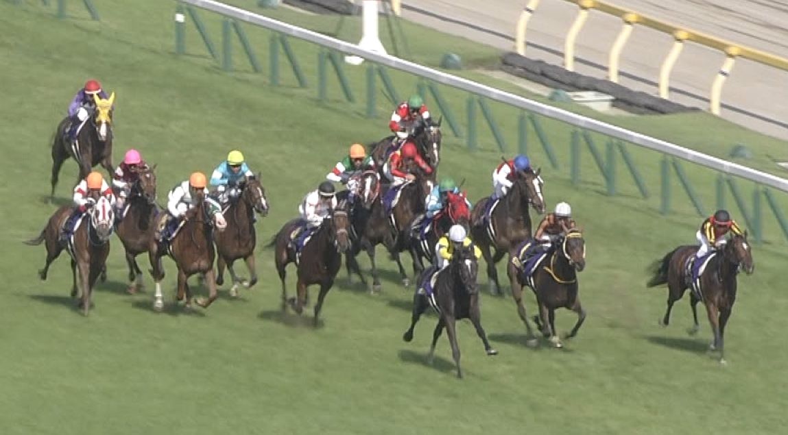 【競馬/オークス】リスグラシューのクソ騎乗ｗｗｗｗｗｗ