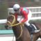 【競馬】今日のマーチステークスの完璧なサイン馬を見つけました
