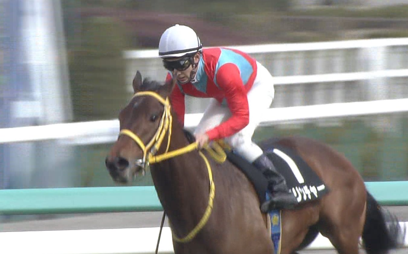 【競馬/ダービー】クリンチャーの宮本調教師妻が、藤岡の騎乗に悲しい日記を綴る・・・ 【競馬/ダービー】クリンチャーの宮本調教師妻が、藤岡の騎乗に悲しい日記を綴る・・・