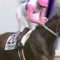 【競馬】二番目に人気がある二冠馬(一番はトウカイテイオー)