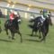 【競馬】ウイニング競馬「あーっとダイワキャグニーは伸び脚を欠いたか！」