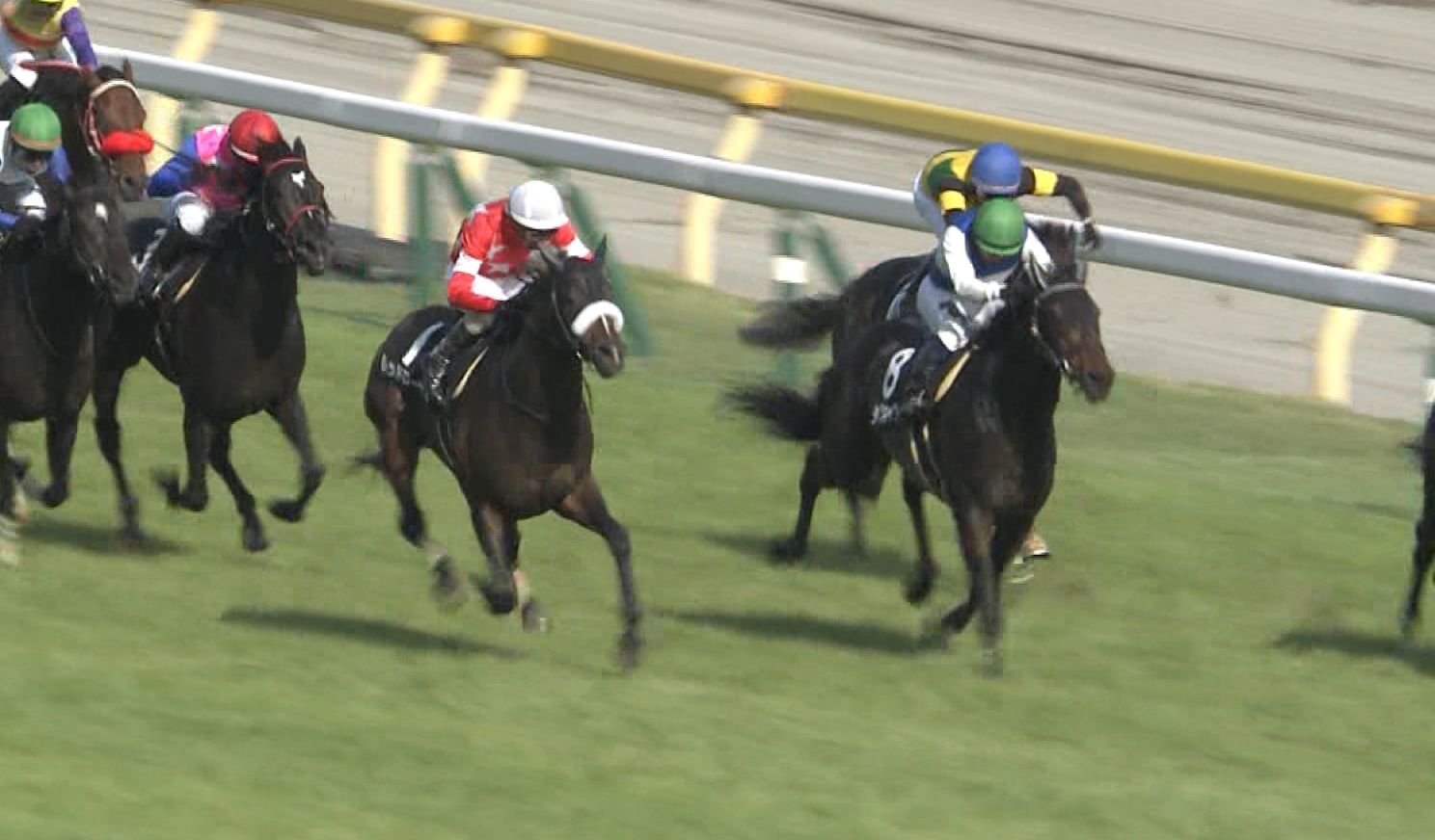 【競馬】ウイニング競馬「あーっとダイワキャグニーは伸び脚を欠いたか！」
