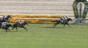 【競馬】土曜メイン白富士Sで内田博幸ダイワキャグニーの着順予想