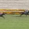 【競馬】土曜メイン白富士Sで内田博幸ダイワキャグニーの着順予想