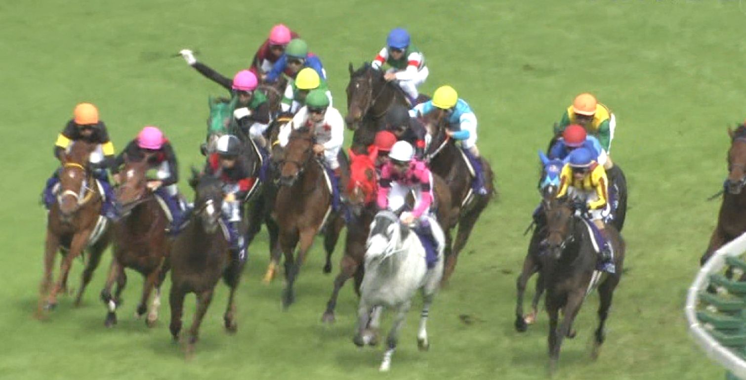 【競馬/ヴィクトリアM】ルージュバック大竹師「うまく立ち回れていれば着順は変わった」