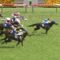 【競馬/ヴィクトリアM】デンコウアンジュを信じてたやつまだいる？