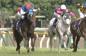 【競馬】アドマイヤリード引退