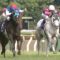 【競馬/東京新聞杯】アドマイヤリードより弱いG1馬なんているのか？