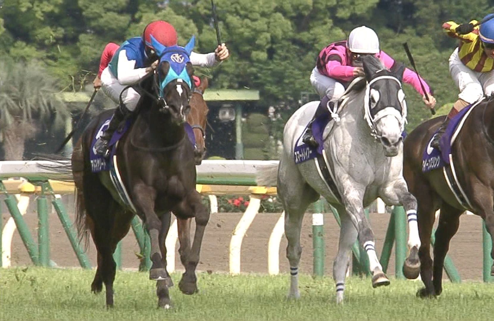 【競馬】NHK牝馬ワンツー→VM牝馬ワンツー→オークス?? 【競馬】NHK牝馬ワンツー→VM牝馬ワンツー→オークス??