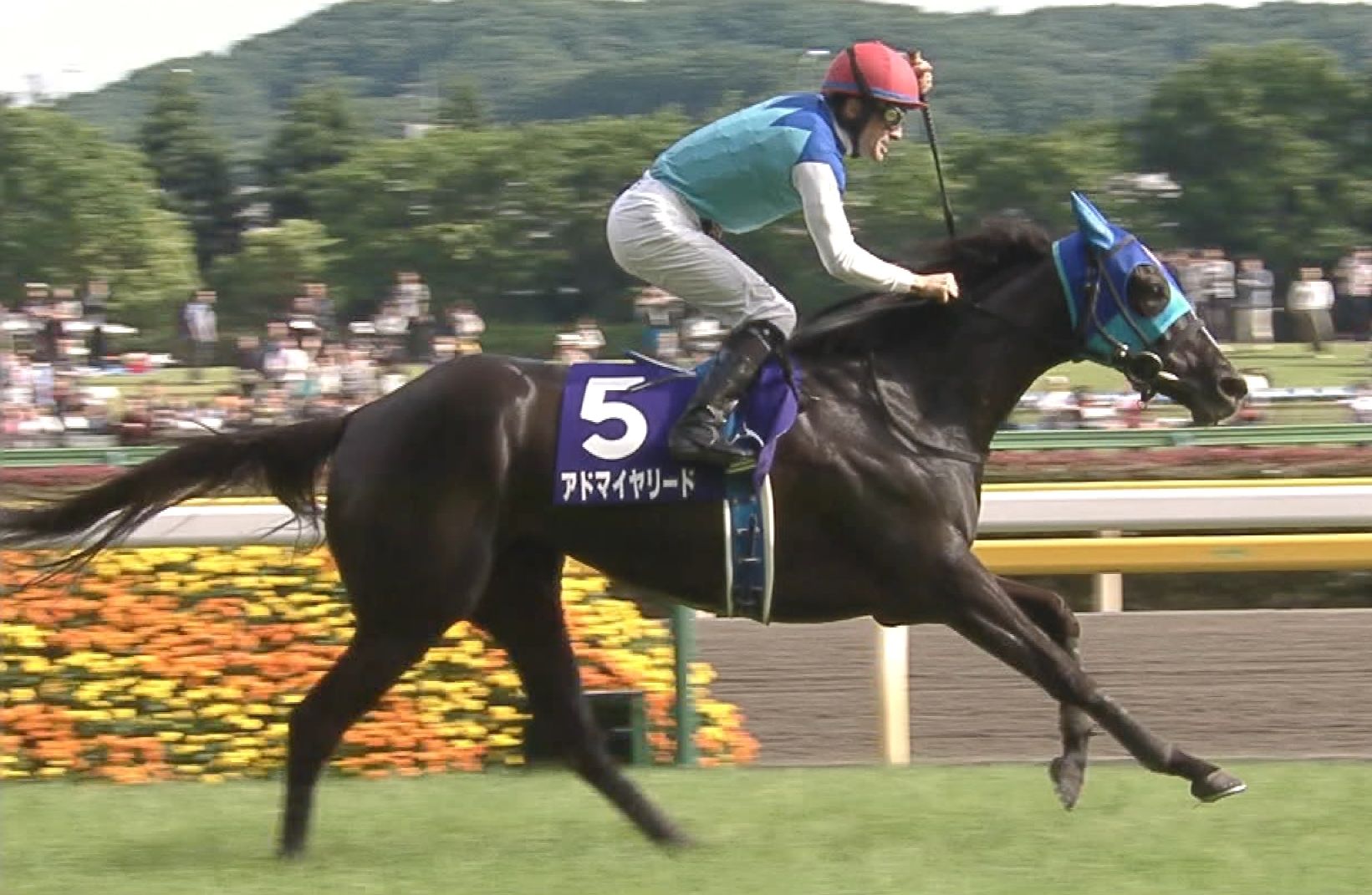 【競馬/ヴィクトリアM】ゆとり、アドマイヤ軍団を知らない