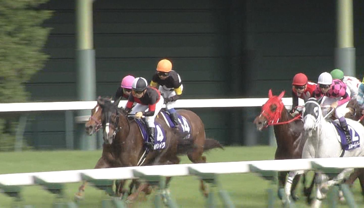 【競馬/ヴィクトリアM】道中の俺「よし!ソルヴェイグいいペースで逃げている!」 【競馬/ヴィクトリアM】道中の俺「よし!ソルヴェイグいいペースで逃げている!」