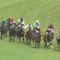 【競馬/ヴィクトリアM】7着ミッキークイーン浜中「ちょっとわからないって言ってるでしょ」