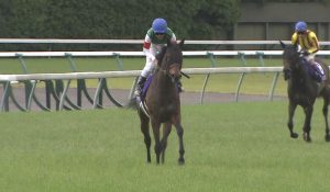 【競馬/ヴィクトリアM】ルージュバックが無冠のまま引退濃厚に