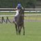 【競馬/ヴィクトリアM】ルージュバックが無冠のまま引退濃厚に