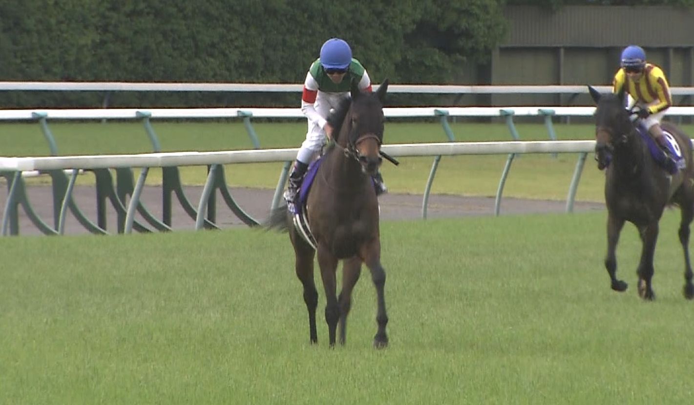 【競馬/ヴィクトリアM】ルージュバックが無冠のまま引退濃厚に 【競馬/ヴィクトリアM】ルージュバックが無冠のまま引退濃厚に