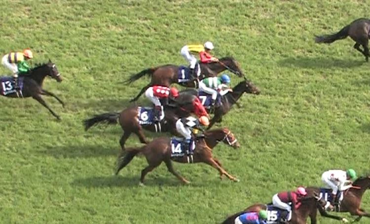 【競馬/ヴィクトリアM】ルージュバックさん、終わる 【競馬/ヴィクトリアM】ルージュバックさん、終わる