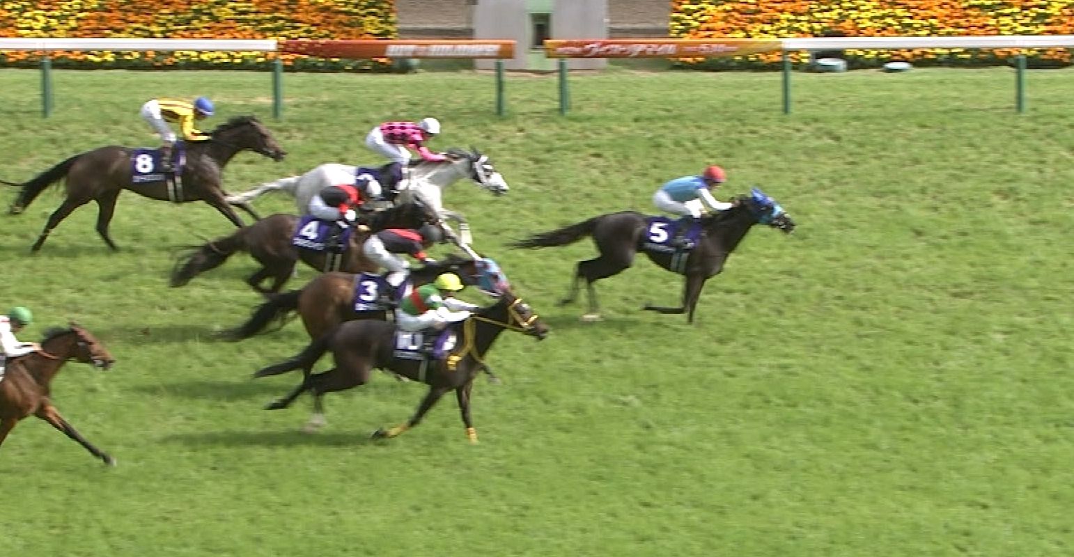 【競馬/ヴィクトリアM】デンコウアンジュを信じてたやつまだいる? 【競馬/ヴィクトリアM】デンコウアンジュを信じてたやつまだいる?