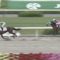 【競馬】京都最終レース糞荒れワロタｗｗｗｗｗｗｗｗｗｗｗｗｗｗｗ