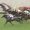 【競馬】京都新聞杯でミッキースワロー、サトノクロニクルを子供扱いしたプラチナムバレットが白富士Ｓで復帰