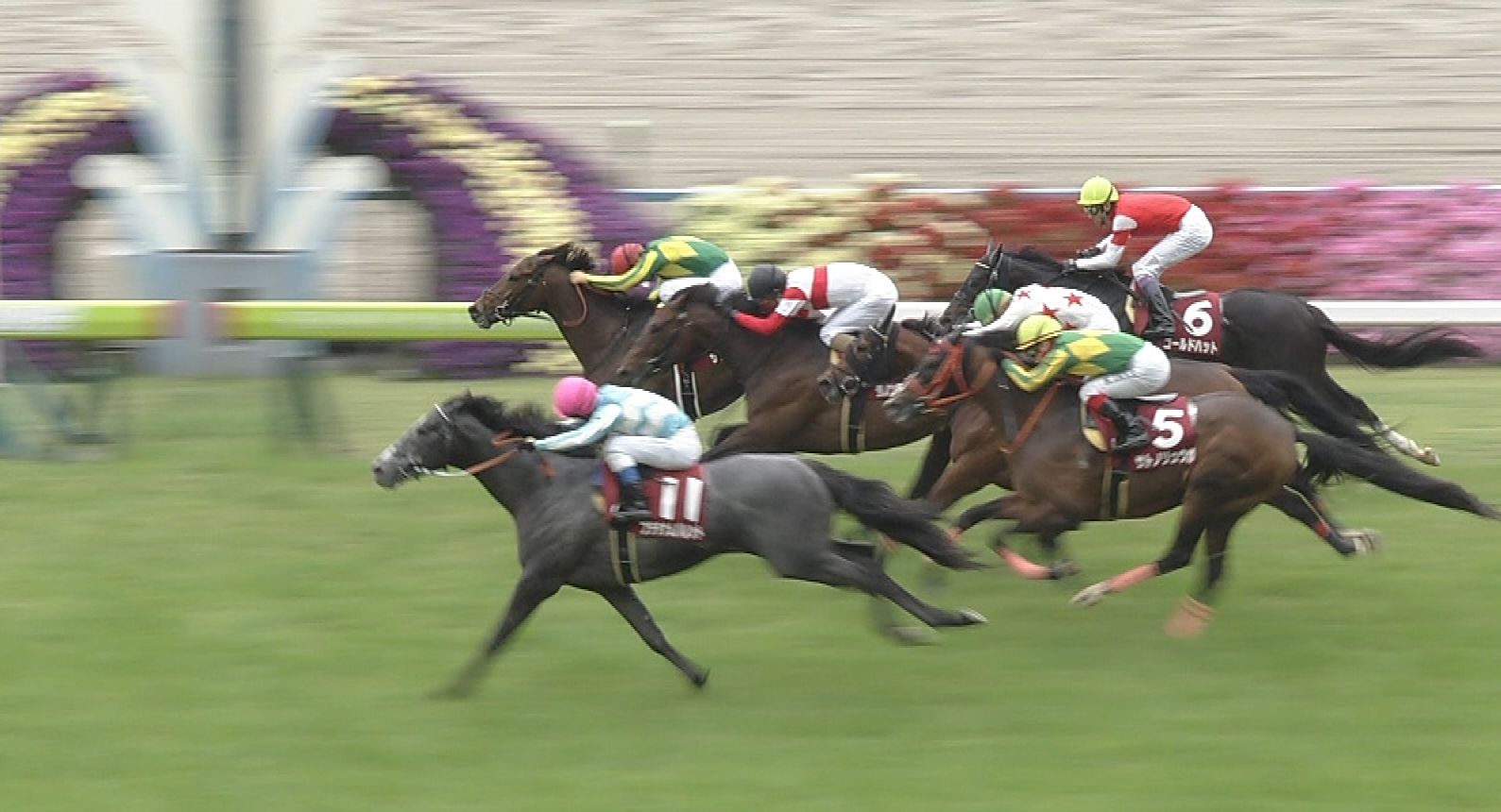 【競馬/京都新聞杯】浜中勝利でペルシアンナイト鞍上問題再熱 【競馬/京都新聞杯】浜中勝利でペルシアンナイト鞍上問題再熱
