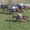 【競馬/天皇賞春】3着争いアドマイヤデウス残した？サトノダイヤモンドに差された？