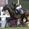 【競馬】キタサンブラックって今年の春天のパフォだけぶっ飛んでるよな