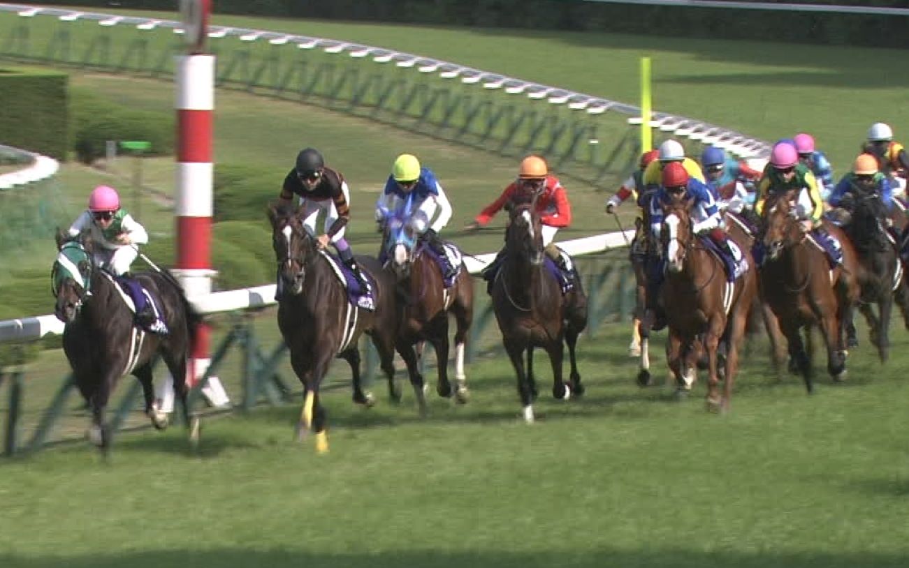 【競馬】オペラオーの時には包囲網とかあったのに、何故かキタサンブラックはいつもスムーズな競馬 【競馬】オペラオーの時には包囲網とかあったのに、何故かキタサンブラックはいつもスムーズな競馬