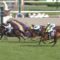 【競馬/天皇賞春】「長距離は騎手」←この言葉に騙されて福永買えなかった奴