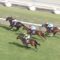 【競馬】サトノダイヤモンドの底が浅かった件…