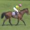 【競馬/大阪杯】サトノダイヤモンド完全におわる