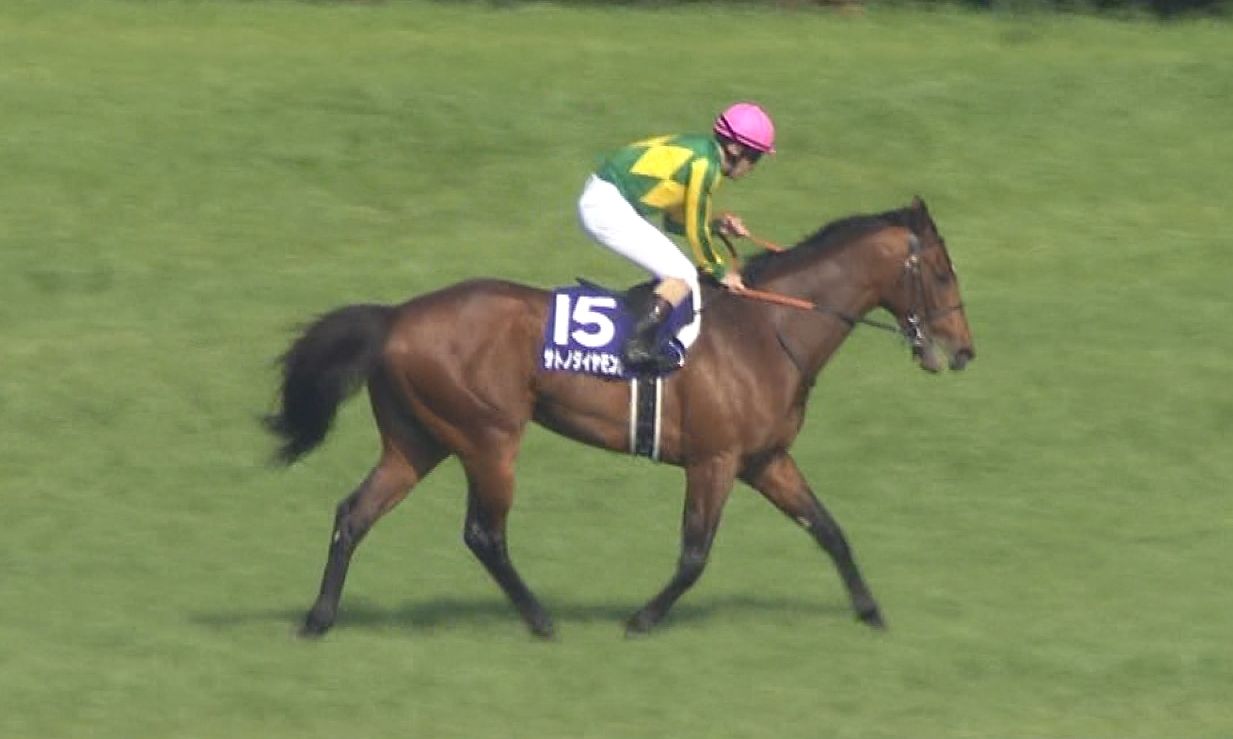 【競馬/天皇賞春】3着サトノダイヤモンド池江師「レース後はガクガクだった。宝塚記念パスするかも」