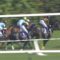 【競馬/天皇賞春】田辺と典とデムーロだと誰が一番ひどい騎乗？