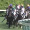 【競馬】今年のルメール芝G1全部取りそうじゃね？
