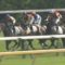【競馬/ダービー】藤岡「スローならハナに行くつもり」とは何だったのかｗｗｗｗｗｗ