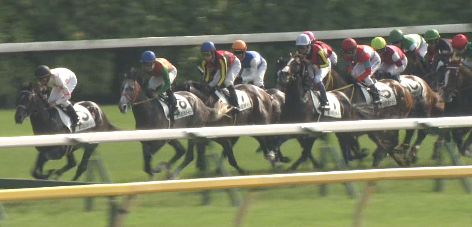【競馬/ダービー】藤岡「スローならハナに行くつもり」とは何だったのかwwwwww 【競馬/ダービー】藤岡「スローならハナに行くつもり」とは何だったのかwwwwww